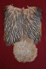 jungle cock chickabou